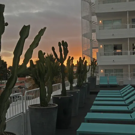 Gold By Marina (adults Only) ホテル 4*